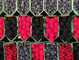 The Greenery ontwikkelt nieuwe zachtfruitrassen met Amerikaanse veredelaar