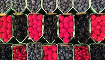 The Greenery ontwikkelt nieuwe zachtfruitrassen met Amerikaanse veredelaar