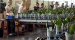 De glastuinbouw heeft meer technische mensen nodig
