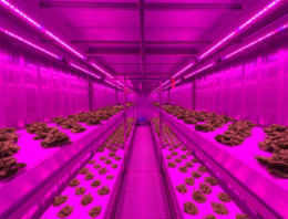 Priva start joint venture Infinite Acres voor indoor farming