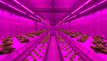 Priva start joint venture Infinite Acres voor indoor farming