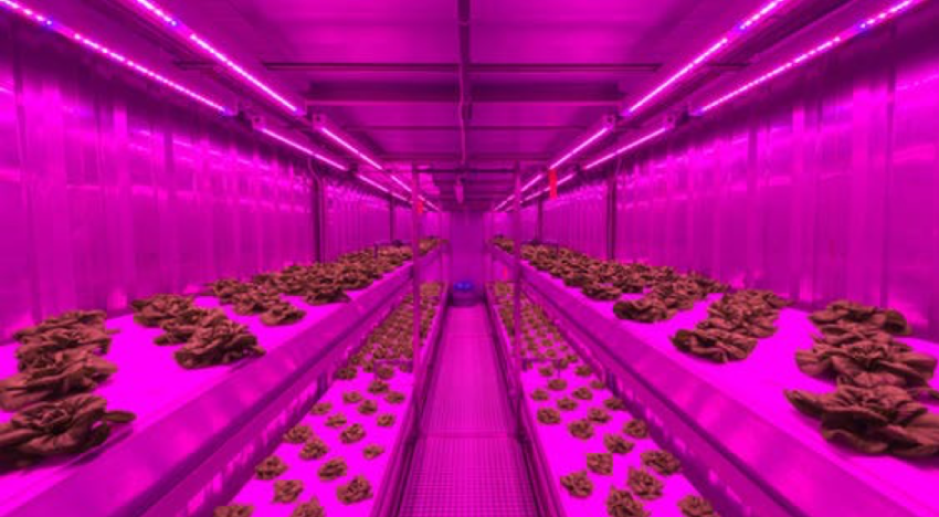 Priva start joint venture Infinite Acres voor indoor farming