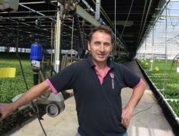 ‘Tegen trips moet je voortdurend je best blijven doen’