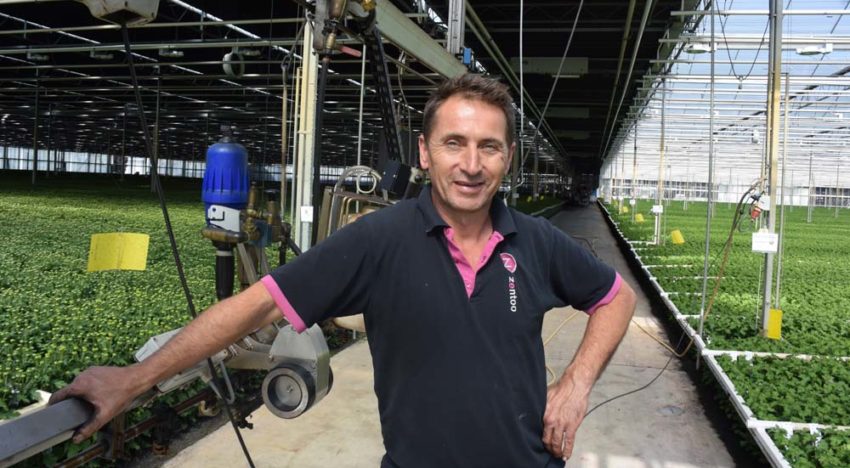 ‘Tegen trips moet je voortdurend je best blijven doen’