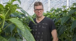 ‘Dankzij oosterse geneeswijze heb ik mijn energie terug’