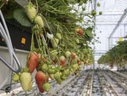 Streven om over een lange periode productie in evenwicht te houden