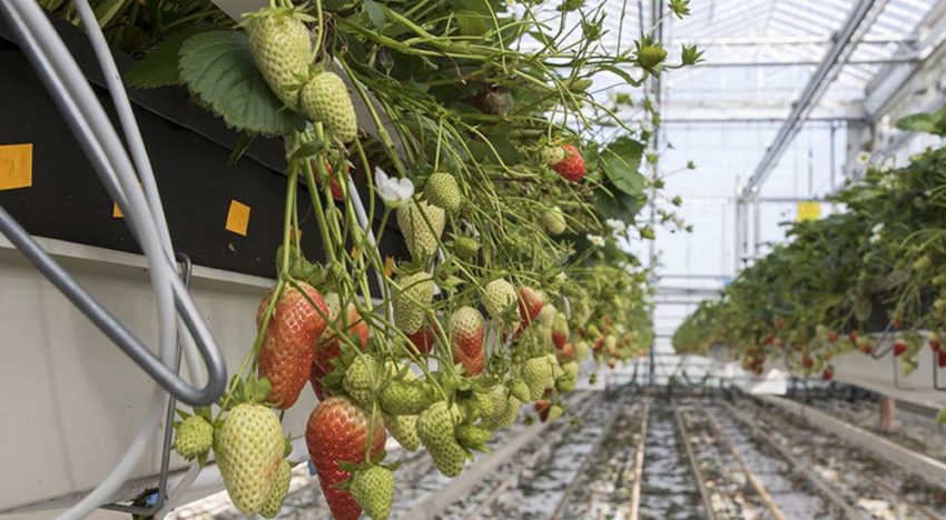 Streven om over een lange periode productie in evenwicht te houden Streven om over een lange periode productie in evenwicht te houden