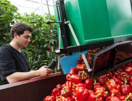 Visie op arbeid bepaalt deels het gebruik van registratiesystemen