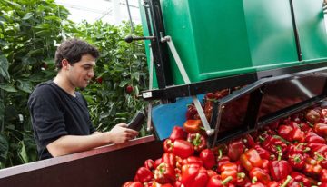Visie op arbeid bepaalt deels het gebruik van registratiesystemen