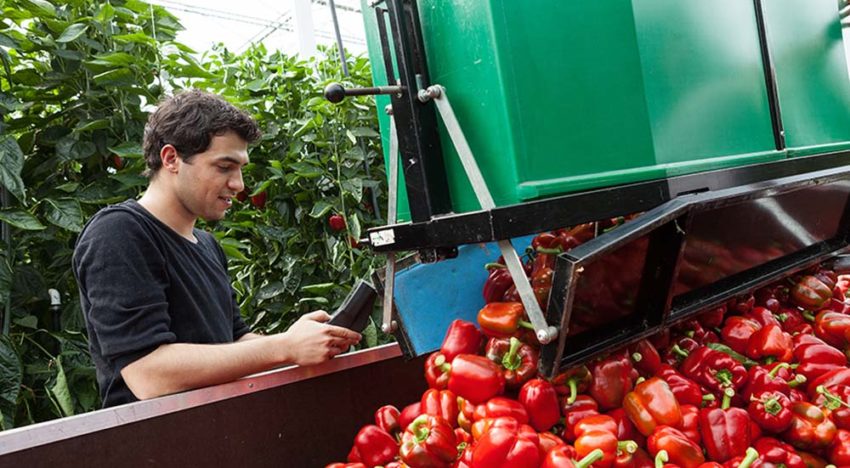 Visie op arbeid bepaalt deels het gebruik van registratiesystemen