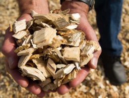 Tuinders in Vierpolders willen biomassacentrale voor bijstook aardwarmtenet