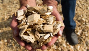 Tuinders in Vierpolders willen biomassacentrale voor bijstook aardwarmtenet
