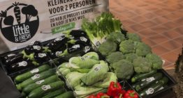 Kleinere huishoudens hebben behoefte aan kleinere groenten
