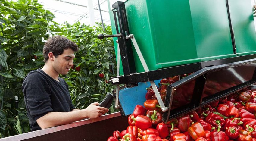 Stigas ontwikkelt kosten/batenindicator Gezond en Vitaal Werken