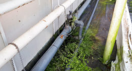 Gerichte actie beperkt lozingen tuinbouw Bleiswijk