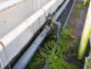 Gerichte actie beperkt lozingen tuinbouw Bleiswijk