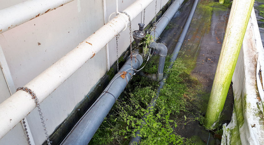 Gerichte actie beperkt lozingen tuinbouw Bleiswijk Gerichte actie beperkt lozingen tuinbouw Bleiswijk