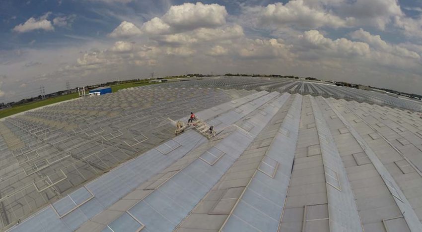 Ruimte voor maatwerk door groei tijdelijke, verwijderbare coatings