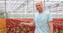 Lex van Santen: ‘De afwisseling en uitdaging maken het telen leuk’