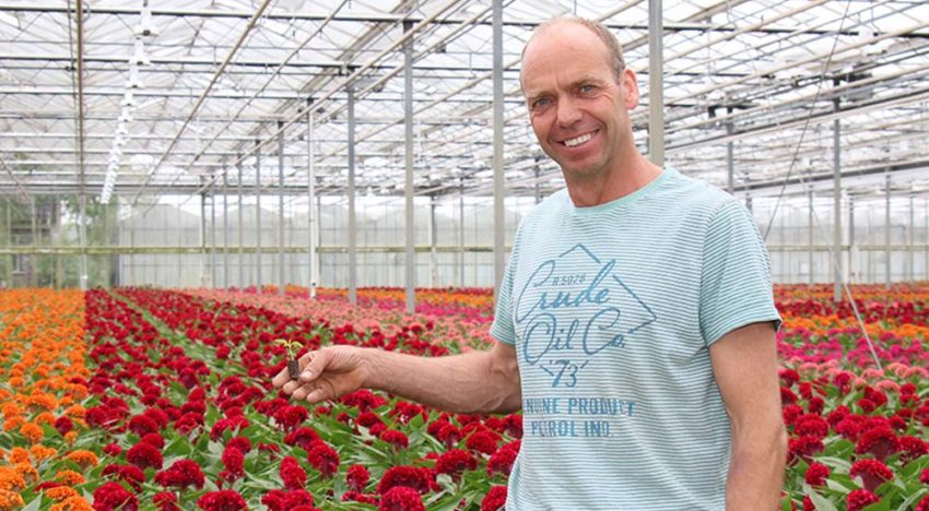 Lex van Santen: ‘De afwisseling en uitdaging maken het telen leuk’