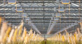 Hoe houd je onderhoud van de belichtingsinstallatie optimaal?