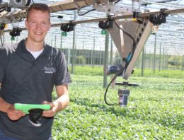 Spuitrobot met cruise control maakt volautomatisch kilometers in chrysant