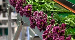 Lichtbesparing vrijwel niet mogelijk zonder in te leveren op kwaliteit
