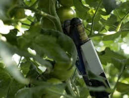 ‘We willen een product waar de teler ook echt iets aan heeft’
