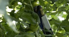‘We willen een product waar de teler ook echt iets aan heeft’