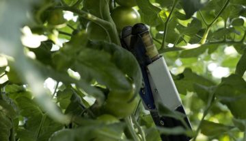 ‘We willen een product waar de teler ook echt iets aan heeft’