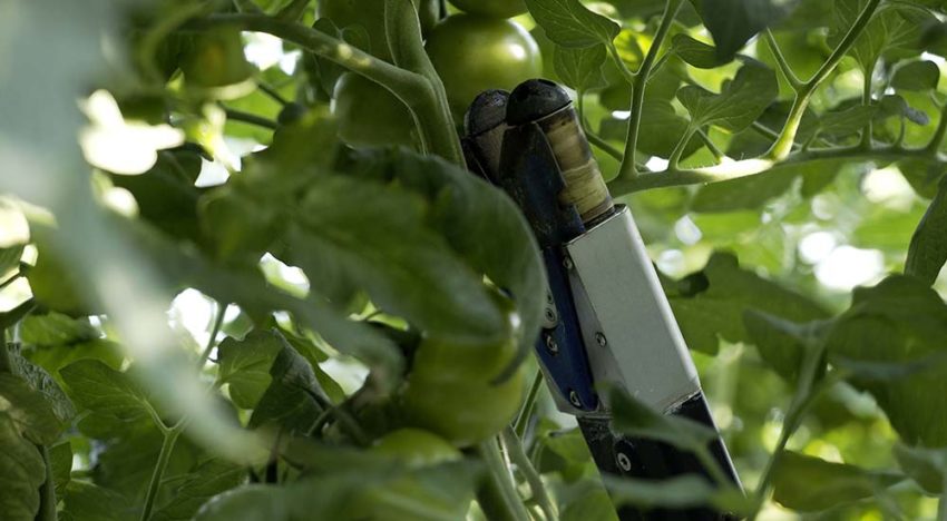 ‘We willen een product waar de teler ook echt iets aan heeft’ ‘We willen een product waar de teler ook echt iets aan heeft’