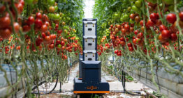 Verbeterde Plantalyzer biedt meer mogelijkheden