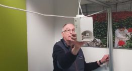 Gezond binnenklimaat door planten