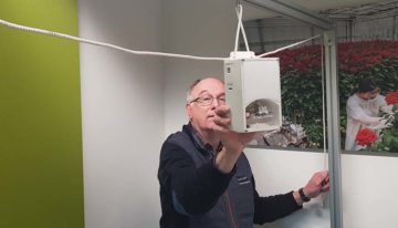 Gezond binnenklimaat door planten